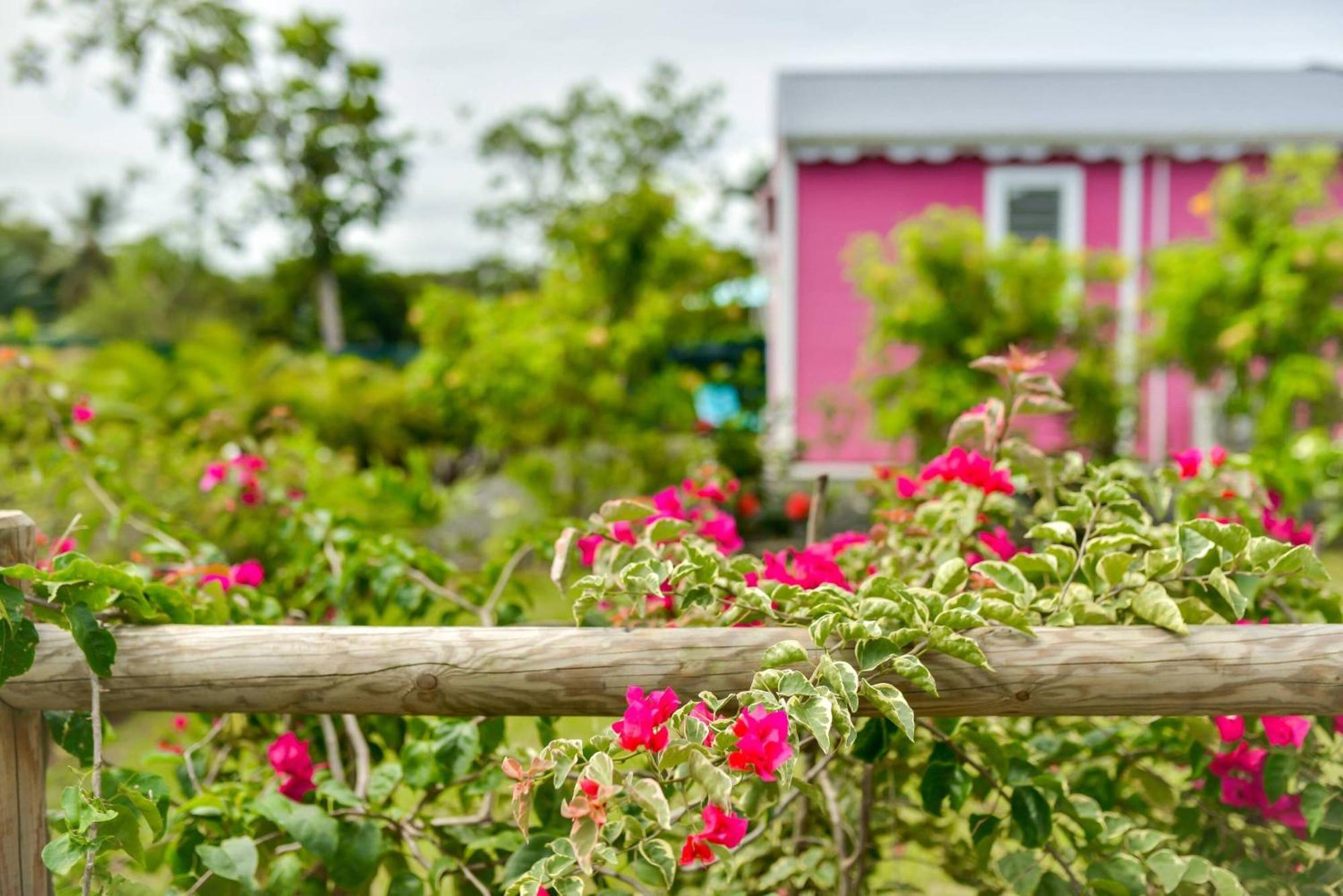 Les Jardins De Chantilly -Bungalows 4 Etoiles Avec Jardins Et Piscines Privees Baie Mahault Værelse billede